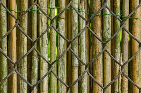 bamboo sticks that i can put into chainlink fince Bitcoin Price: Value of Bitcoin Down 75% From PeakMoney... Bamboo Fence Bamboo Fencing Rolled Bamboo Fences